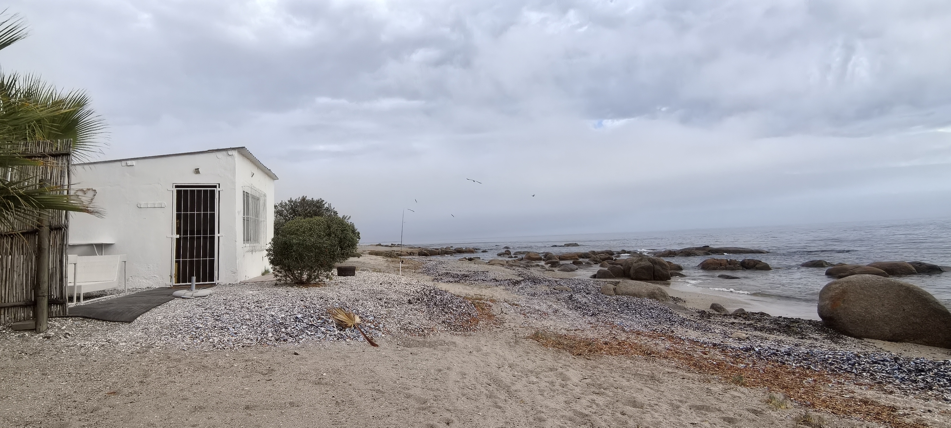 The Beach Shack photo